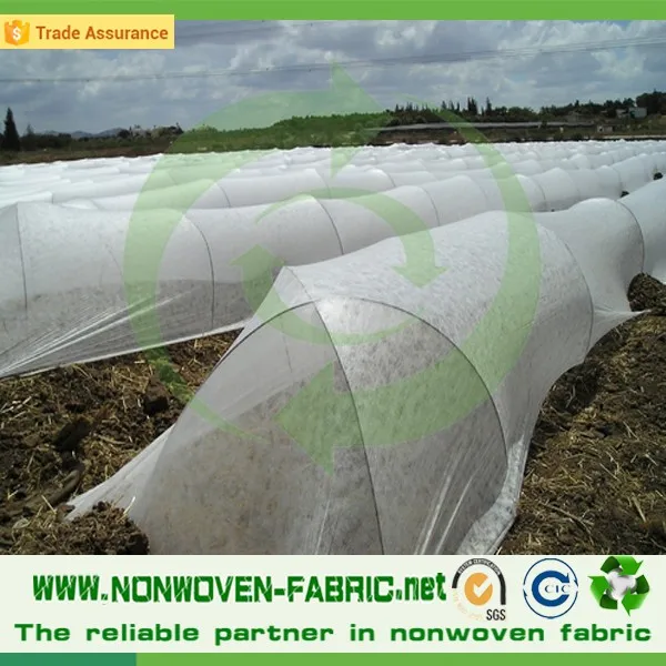 UV Resistant Virgin Polypropylene Spunbond Nonwoven Fabric for Plant Cover