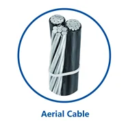 aerial cable.png