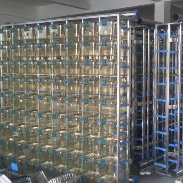 Individually Ventilated Ivc Laboratory Rabbit Cage Buy Ventilated Ivc