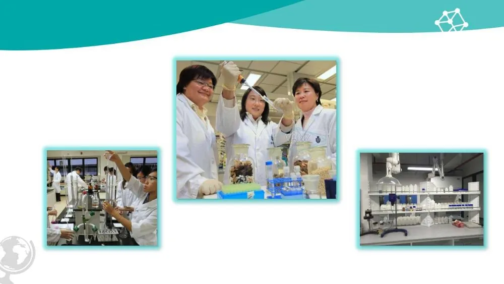 Ticarcillin Sodium and Potassium Clavulanate