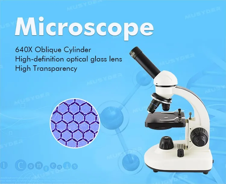 Artificial Insemination In Pig And Sperm Observation For Biological