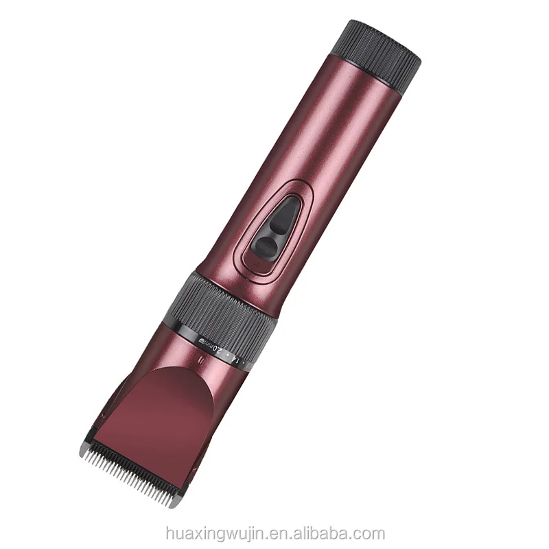 charging clipper09102008.jpg