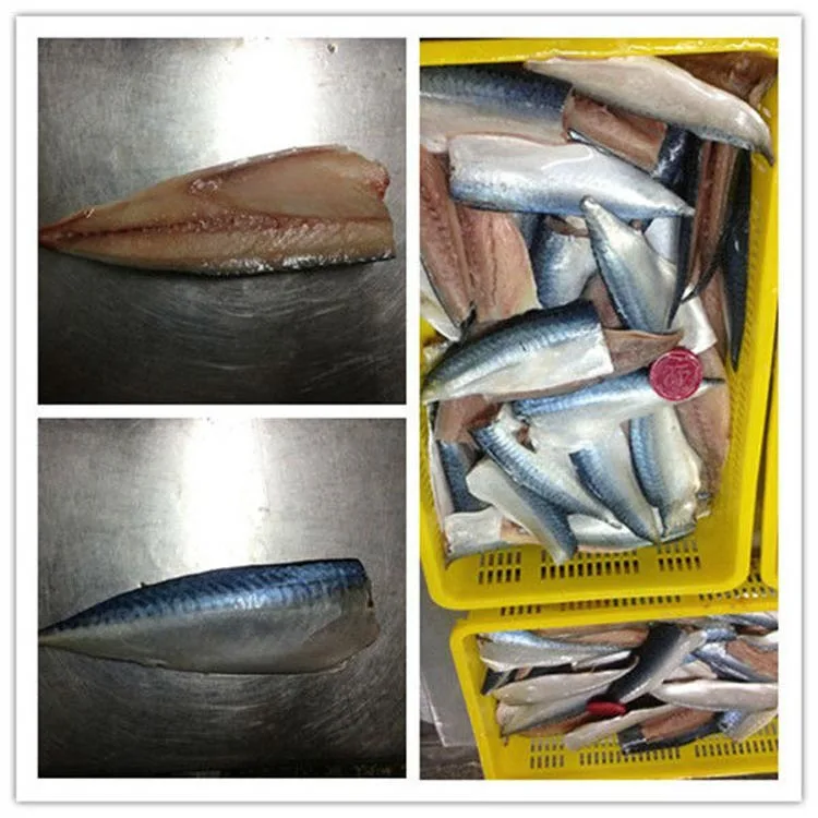 Miso Mackerels Fillets,Season Mackerel Fillet Halal Certified Products
