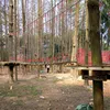 Outdoor playground equipment in the forest