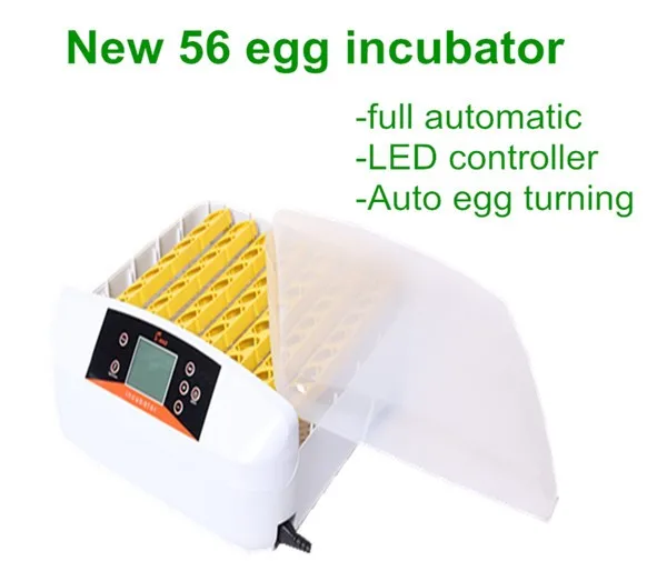 Hhd 56 Chicken Egg Incubators Prices Pakistan Lahore Surehatch Egg Bod