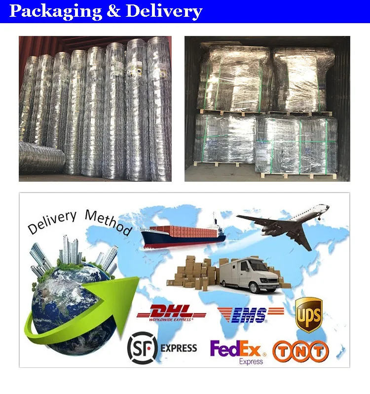 Packaging & Delivery.jpg