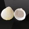 Cute White Color Small Natural Baltic Clam Shell For Decoration
