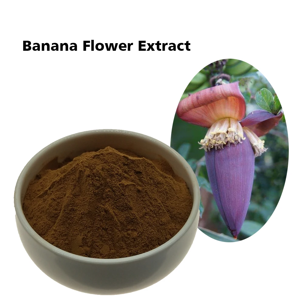 Free Sample 101,Banana Flower P.e./banana Flower Extract Powder Buy Banana Flower Extract