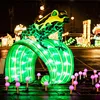 Zoo festival decoration Chinese silk animal frog lantern