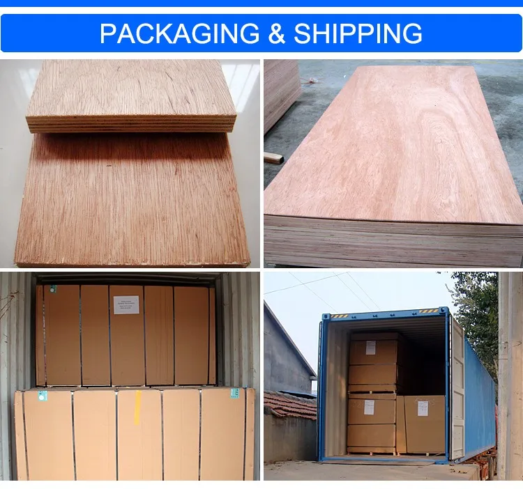 packaging & shipping (5)