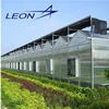 Leon series best selling agricultural multi span plastic film and polycarbonate greenhouse