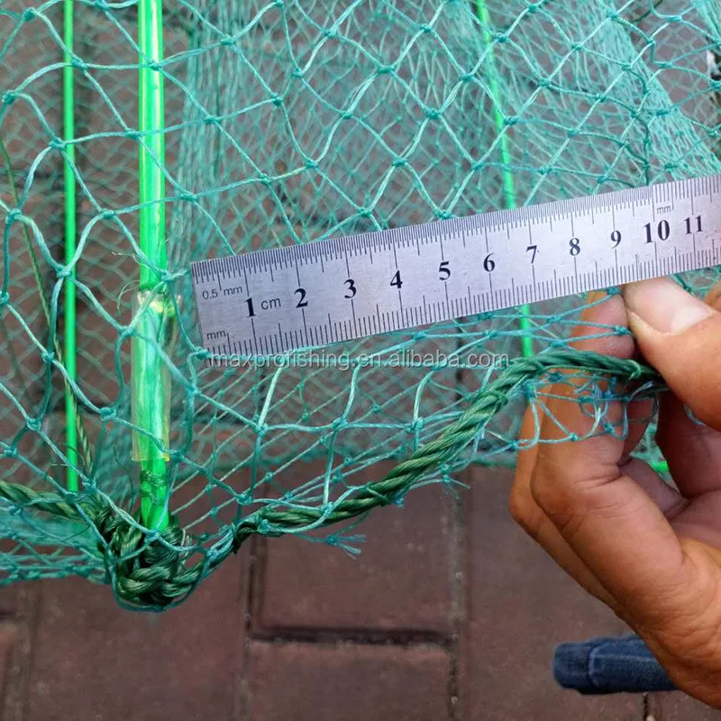 eel trap (3).jpg