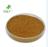 Best selling natural high purity ashitaba extract powder