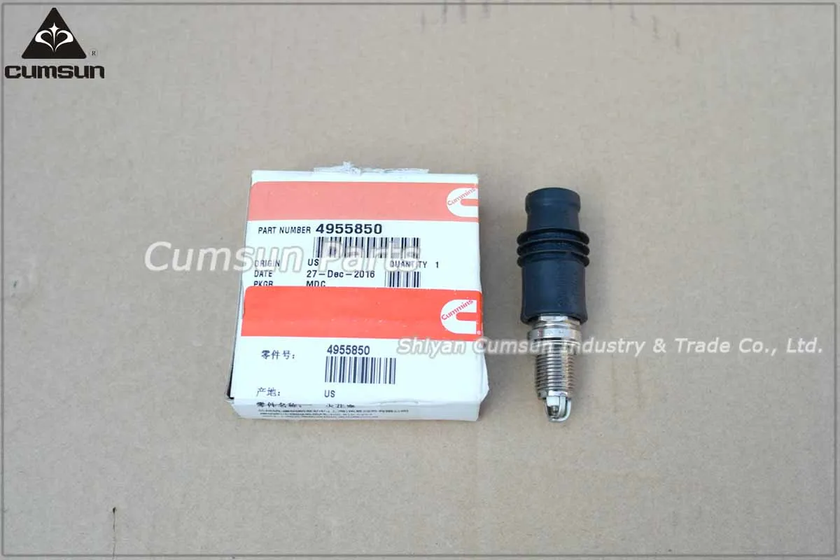 6CT8.3 natural gas engine spark plug kit 4955850.jpg