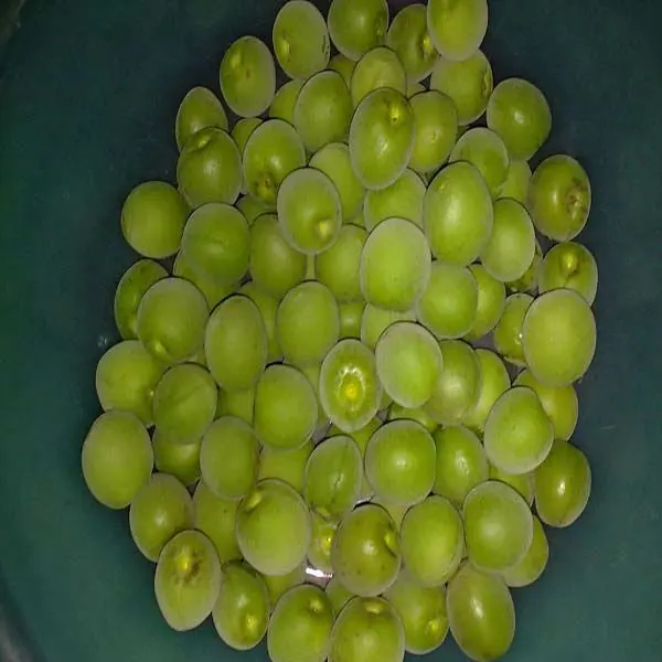 greengage extract powder