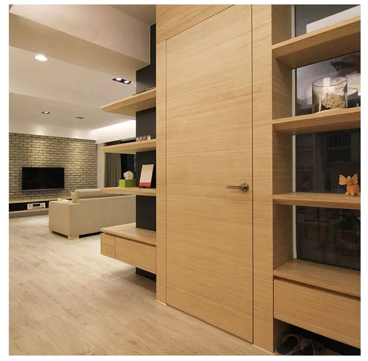 Invisible Interior Doors With Modern Handles