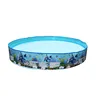 PVC Material Benthos 4'*10" Rigid Wall Pool