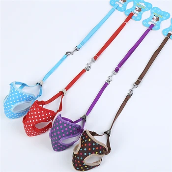 cute dog leads