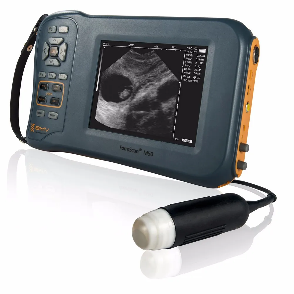 Farmscan M50 Palm Pig Pregnancy Ultrasound Machineultrasound