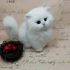customized artificial fashion beautiful design furry cat