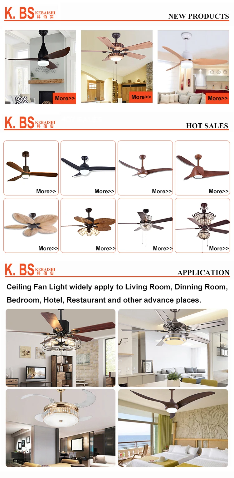 Sell Well Decorative Simple Modern Design Remote Control Ceiling Fan With Light