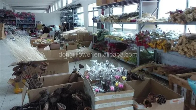 dried flower factory.jpg