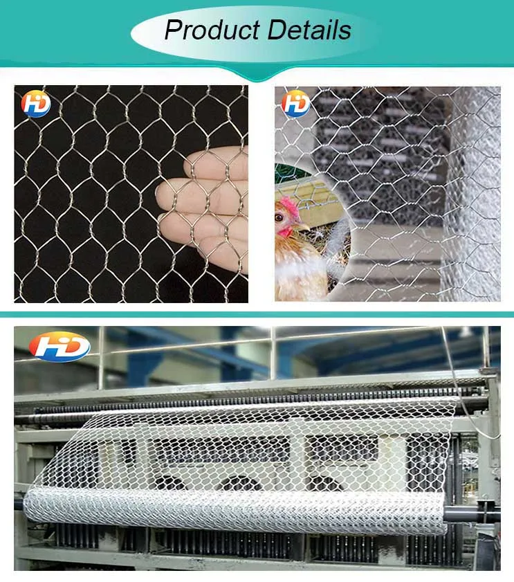 Galvanised Poultry Wire Mesh / Fish Pot Wire / Galvanized Net Buy Poultry Wire Mesh,Fish Pot