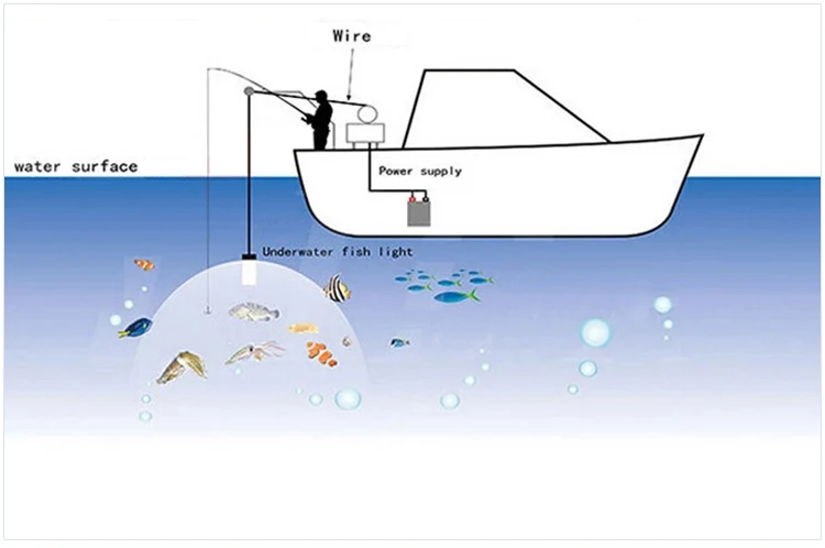 fishing light (2)