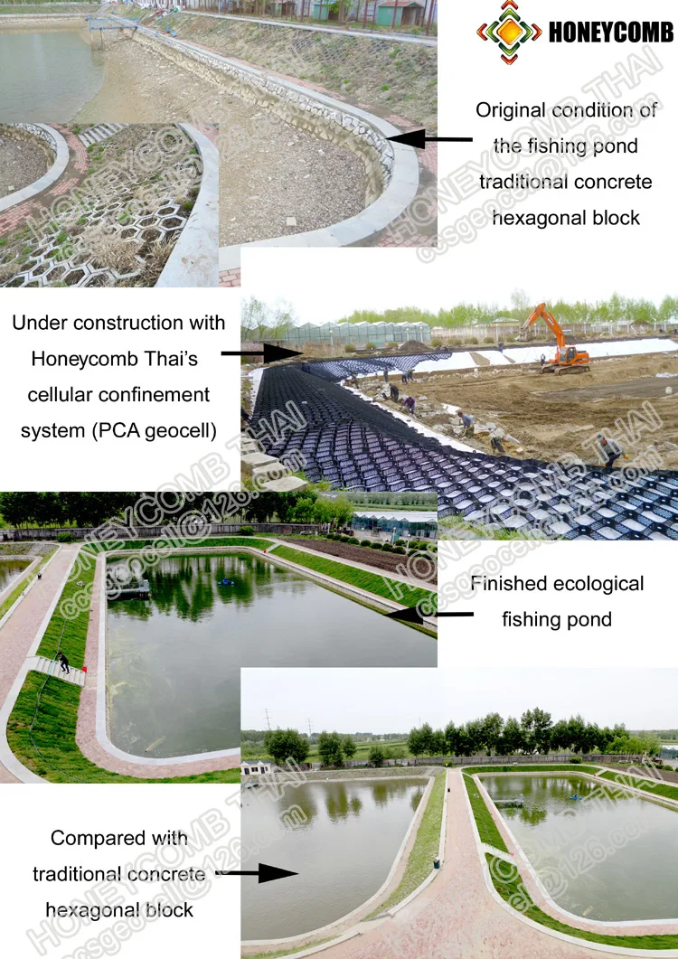 y-geocell for fishing pond