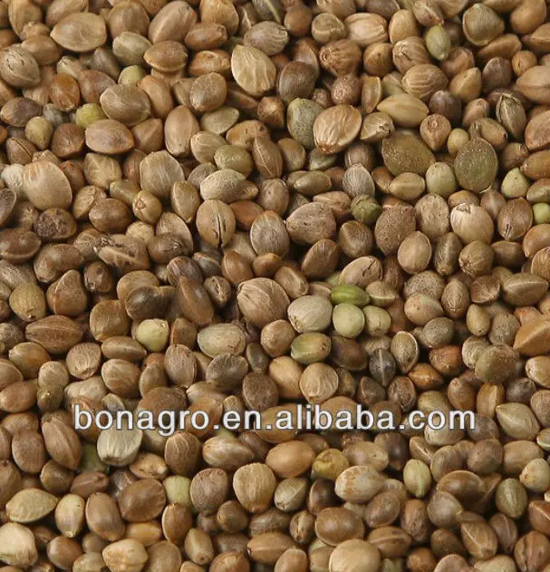 HEMP SEEDS-2.jpg