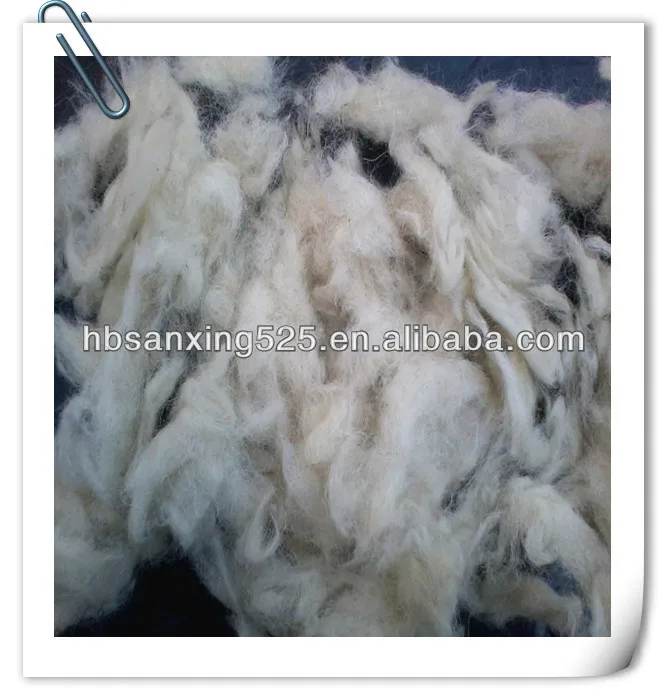 2014-03-21 14.31.42_.jpg