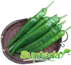 /product-detail/suntoday-green-long-f1-hybrid-red-hot-chiili-pepper-capsicum-seeds-60798308875.html