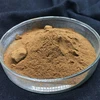 Supply maitake extract powder maitake mushroom polysaccharide