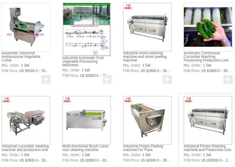 vegetable cutter.jpg