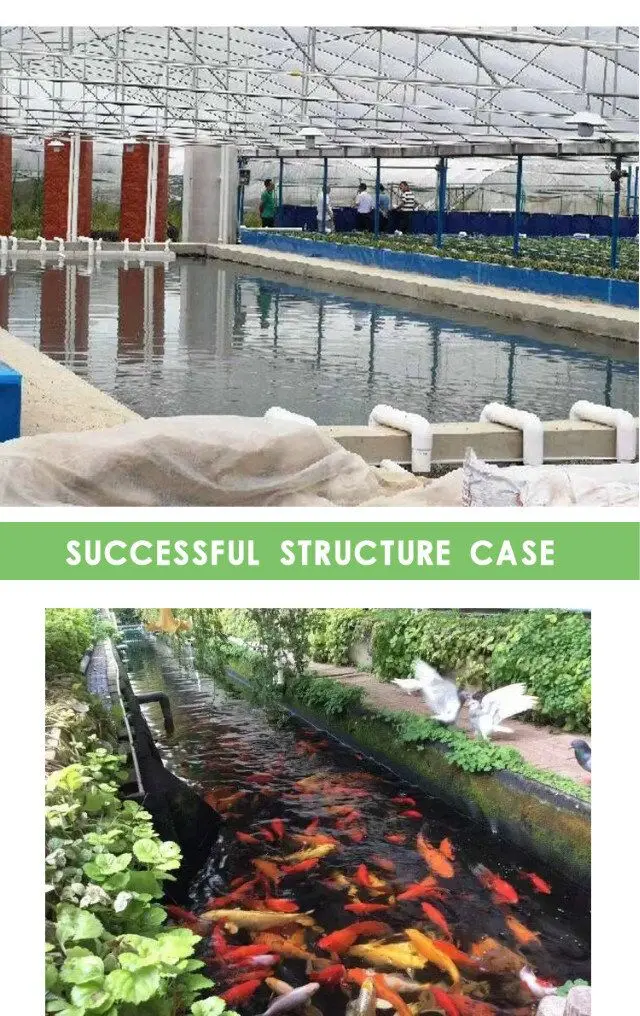 aquaponics 8.jpg