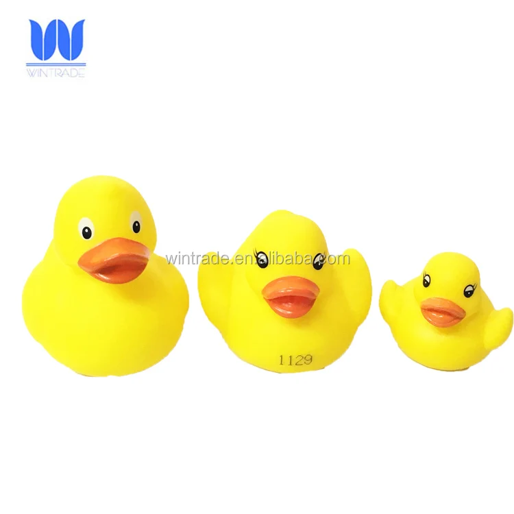 WF-RACE DUCK 31