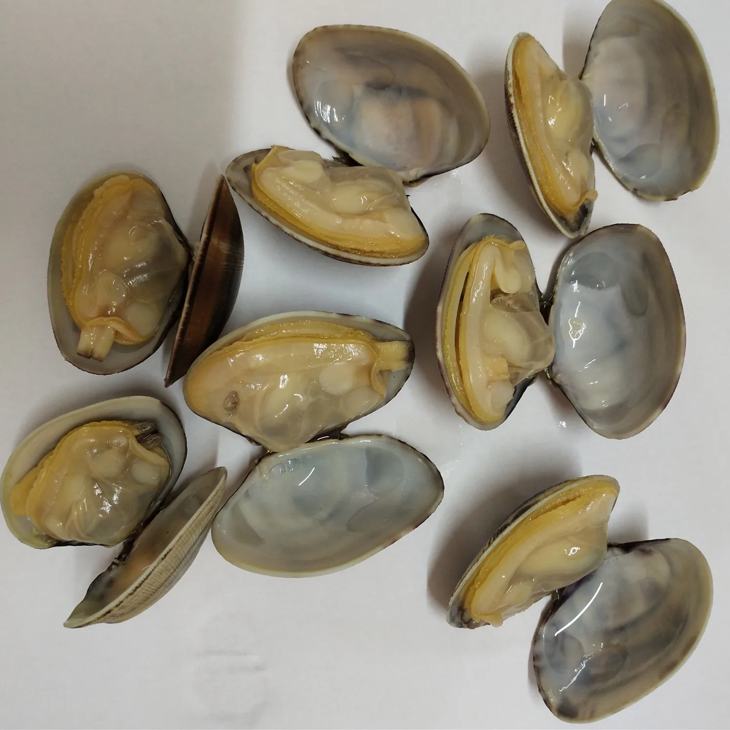 Ivp Frozen Short Necked Clam Seafood Boiled Clam Meat Buy High