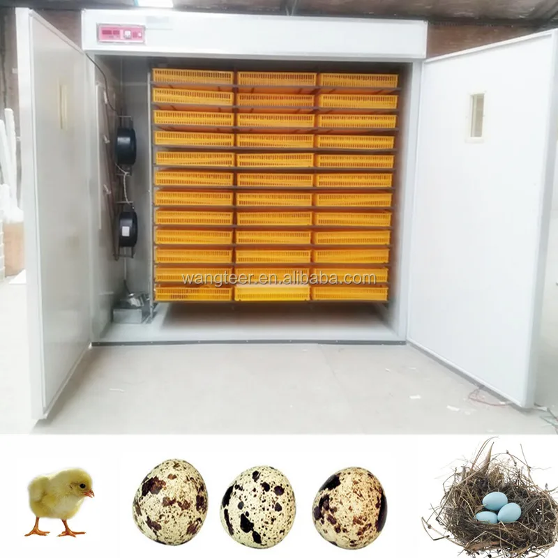 Intelligent incubator controller