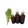 Natural Litsea Cubeba Essential Oil Antioxidant Young Living Bulk Price For Sale