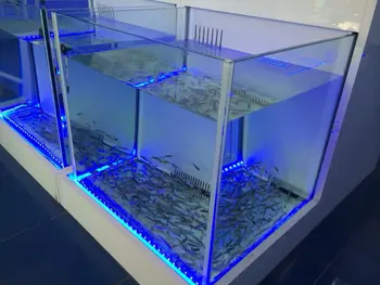 Garra Rufa Fish Spa Set For Feet (for 1 Person) - Cheap
