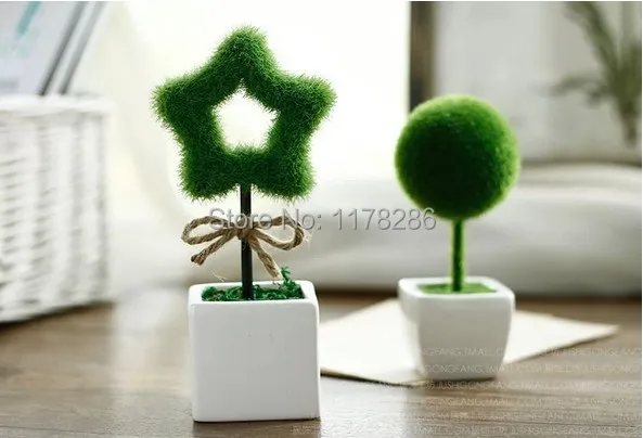 Delectable 80 Plants For Office Desk Design Decoration Of 9 Low Contemporary Office Pot Plants Hawaiian And Ideas