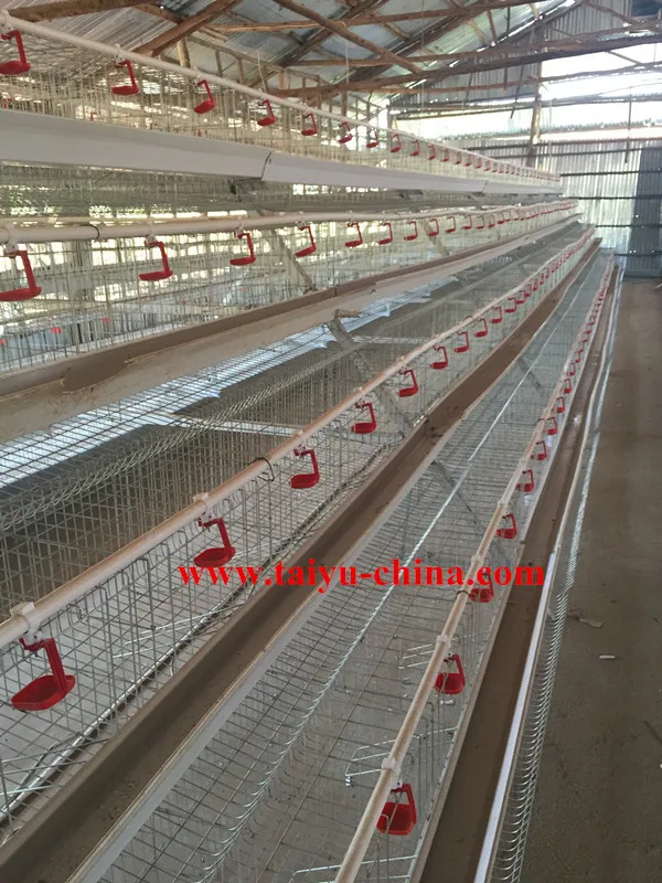 Chicken Farm Layer Cages For Sale In Zimbabwe Buy Chicken Farm Layer