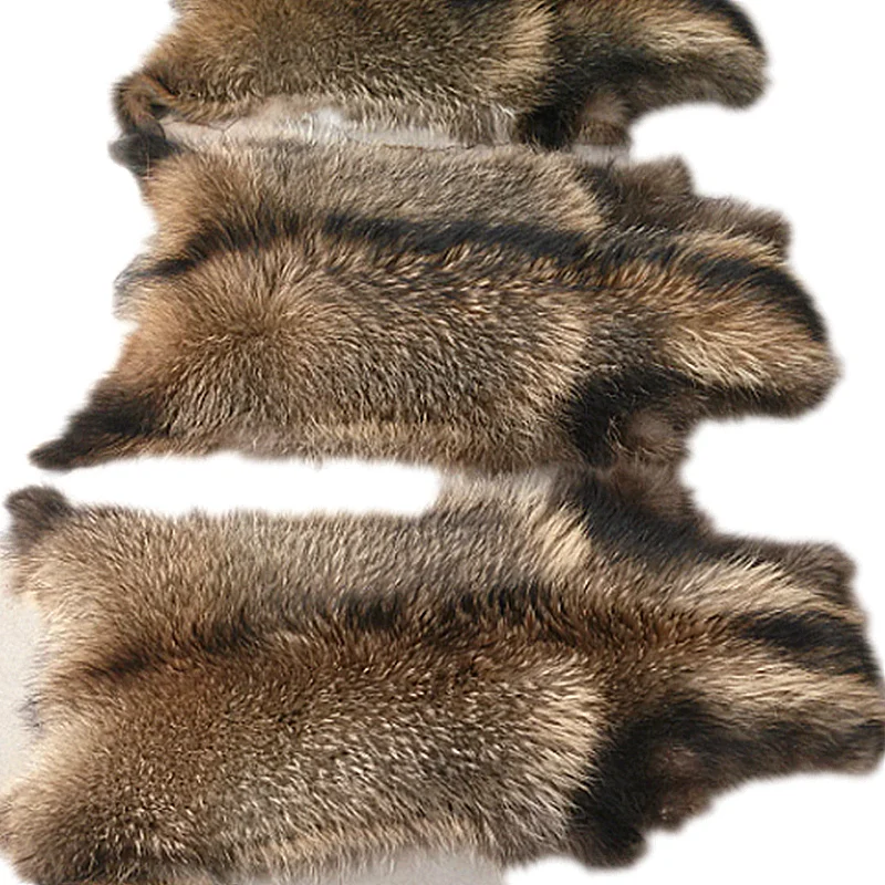 浣熊毛皮皮肤领浣熊毛皮大衣衣领装饰的胡德