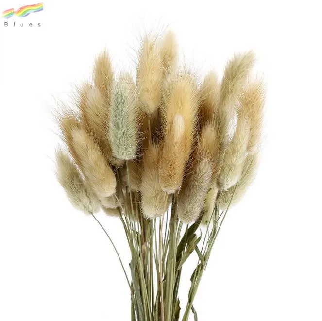 60 120pcs Dried Bunny Tails Flowers Multicolor Rabbit Tail Grass Dried Grass Bouquet For Home Wedding Party Table Diy Dry Floral Arrangement Decor 17 - Home & Kitchen - Saudi Arabia