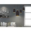 E27*1pcs indoor lightings 220V pendant light fixture
