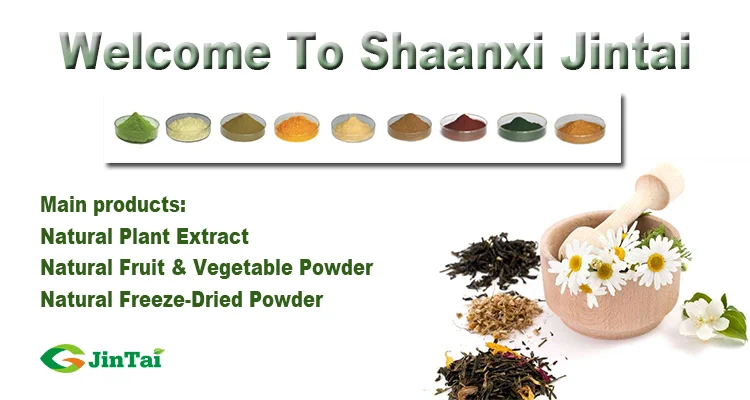 factory supply mango leaves extract