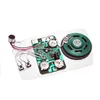 mini voice recorder chip for toys