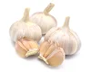 Chinese Pure White Garlic Fresh Garlic Original Shandong Brand