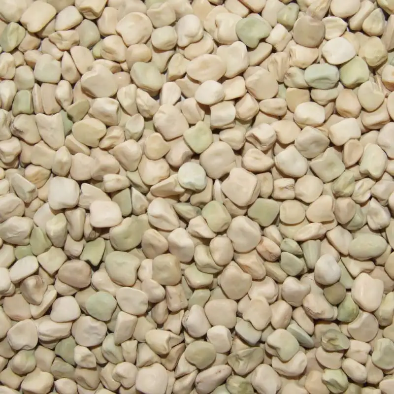 Triangle Peas.jpg