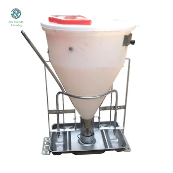 automatic pig feeder for sale